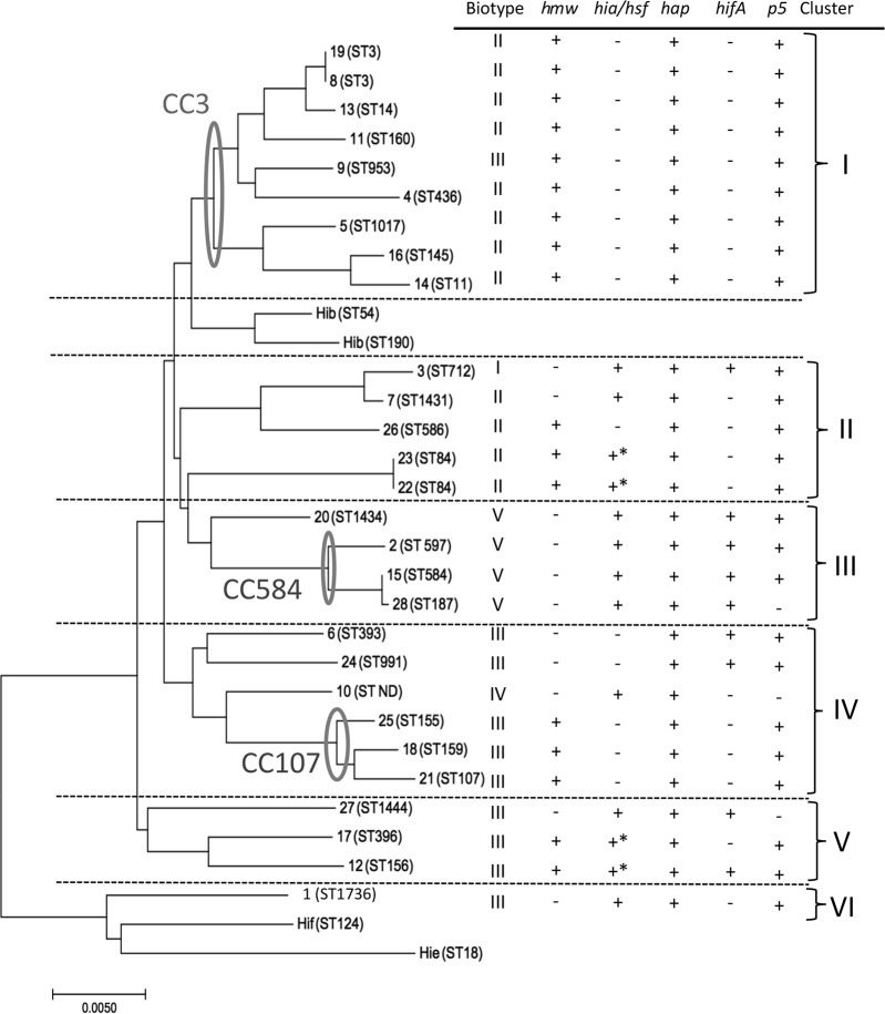 FIG 2