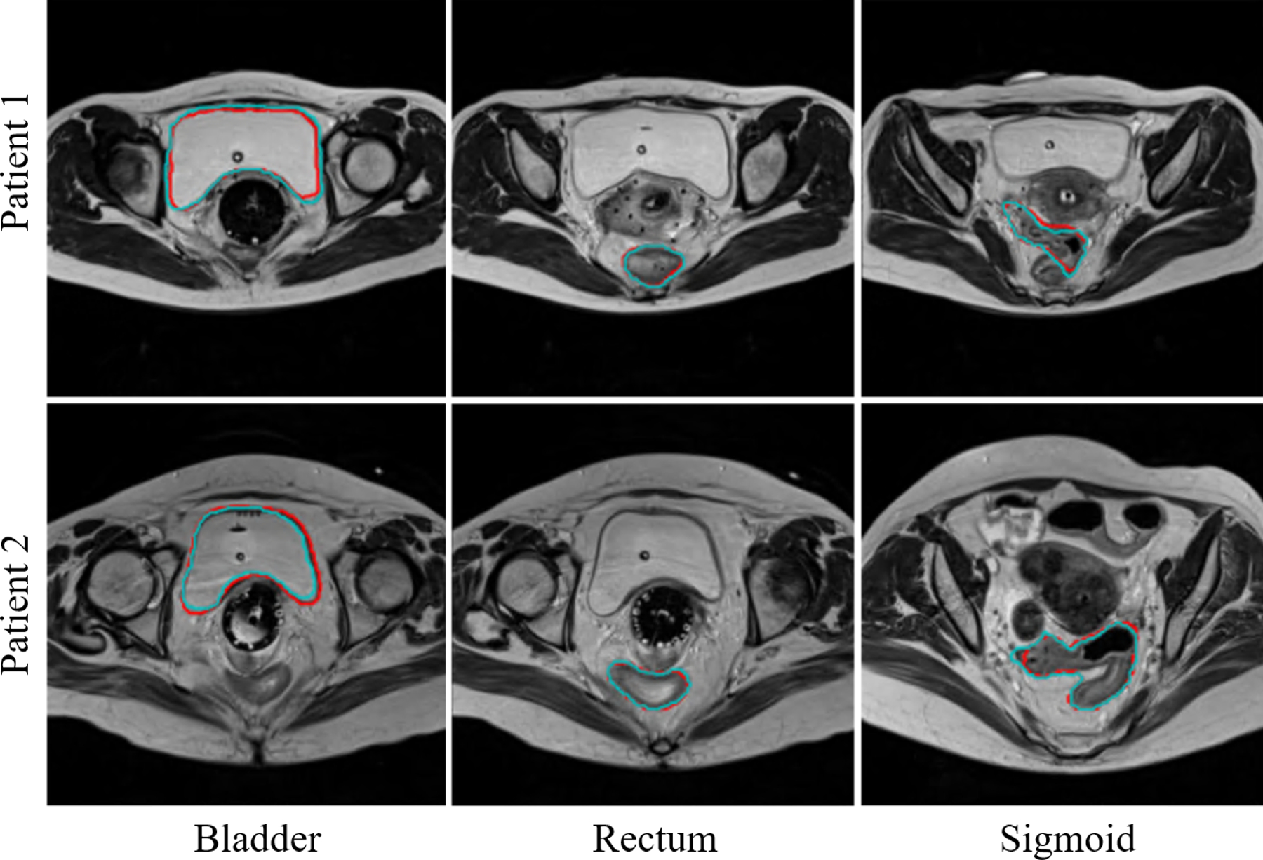 Fig. 8.