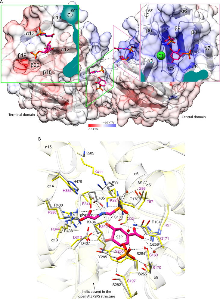 Fig. 4