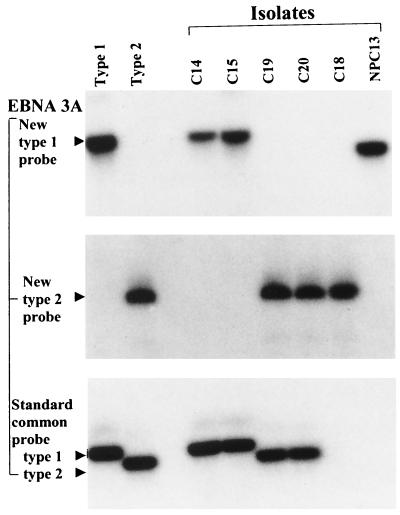 FIG. 3