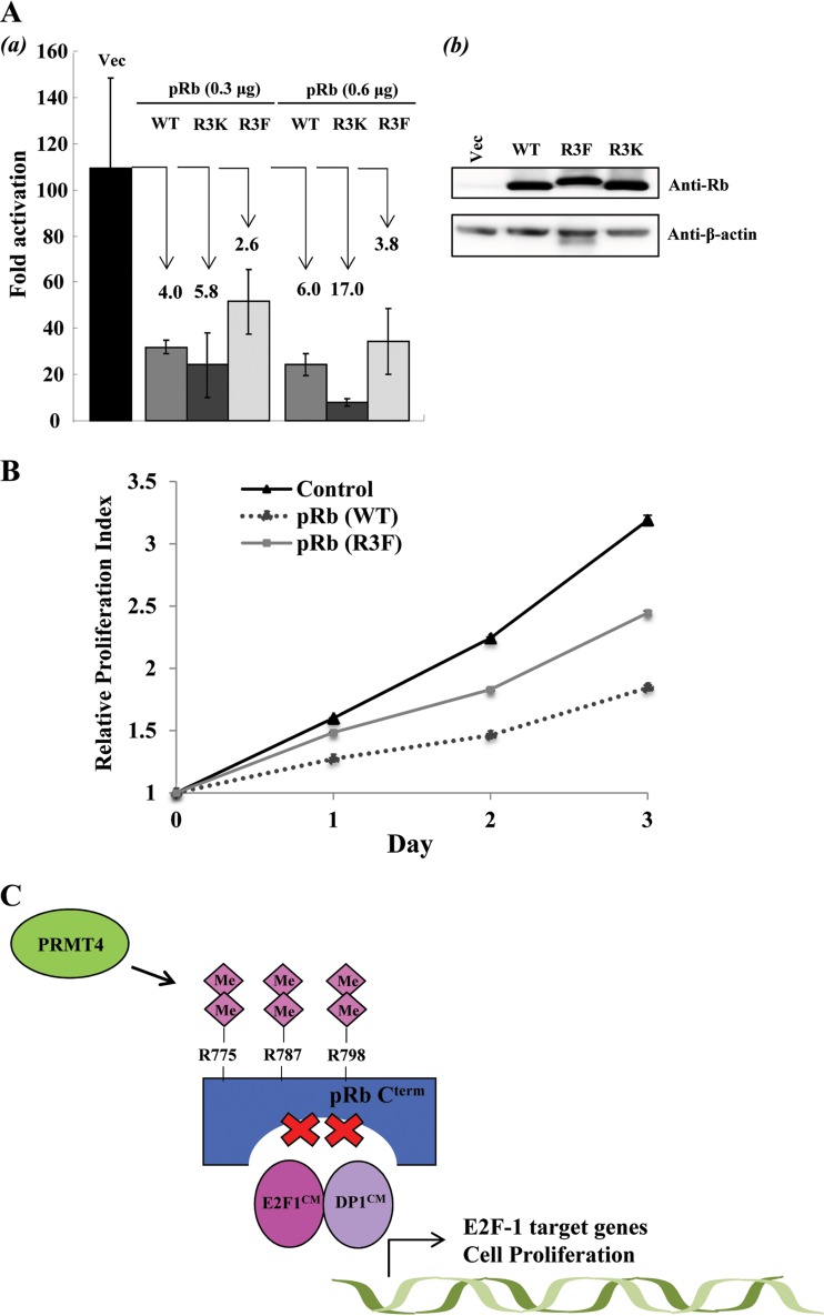 FIG 6