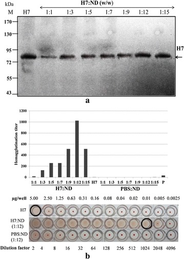 Fig. 5