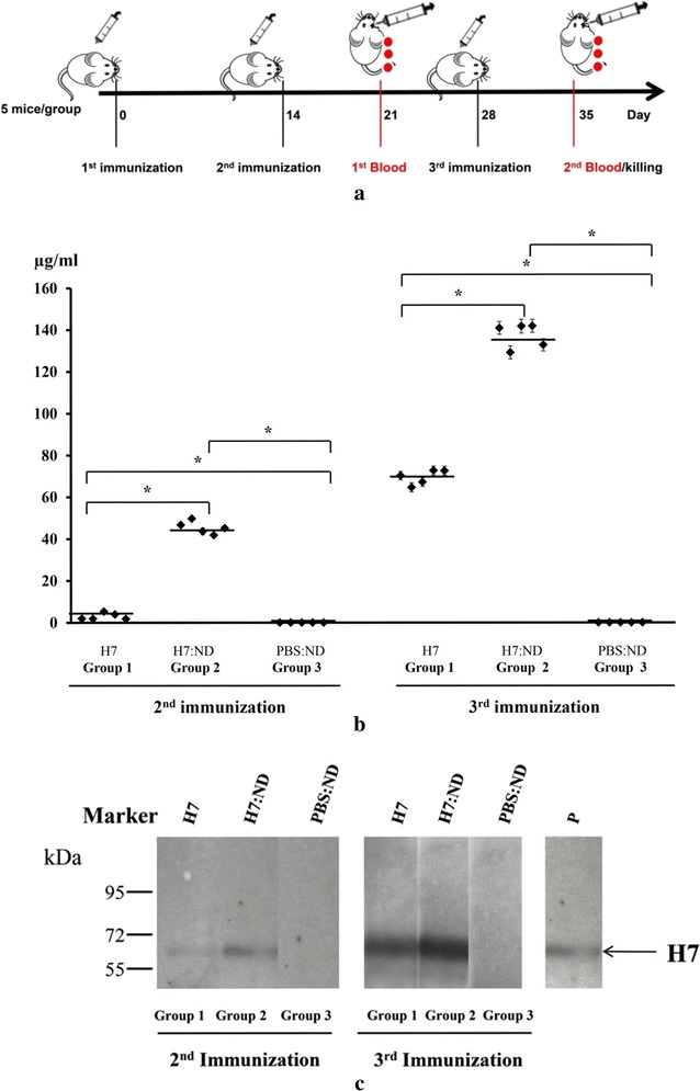 Fig. 6