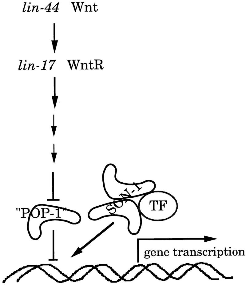 Figure 8