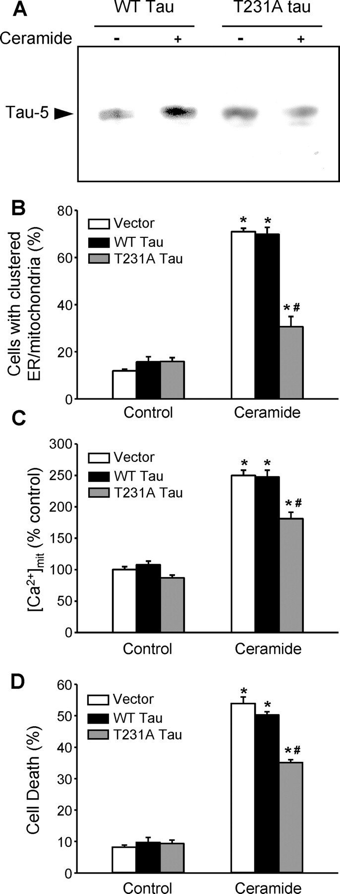 
Figure 9.
