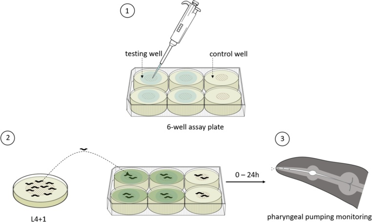 Fig. 1