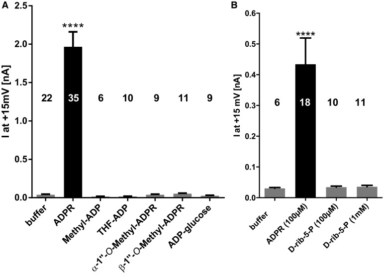 Figure 2.