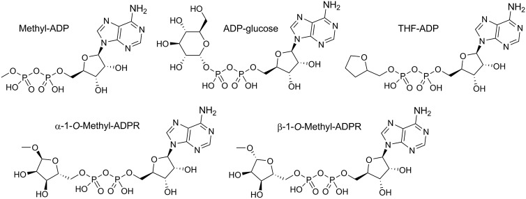 Figure 1.