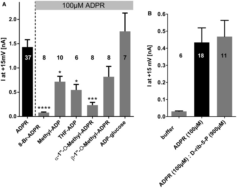 Figure 3.