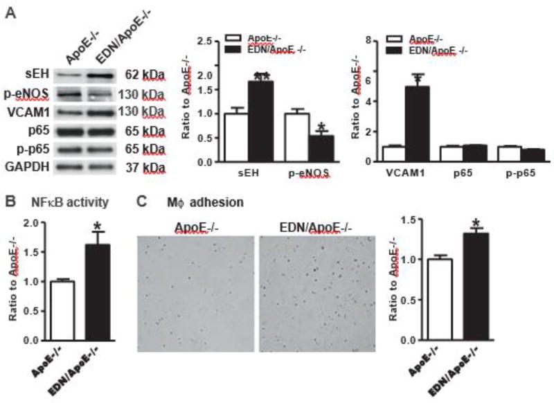 Fig.4