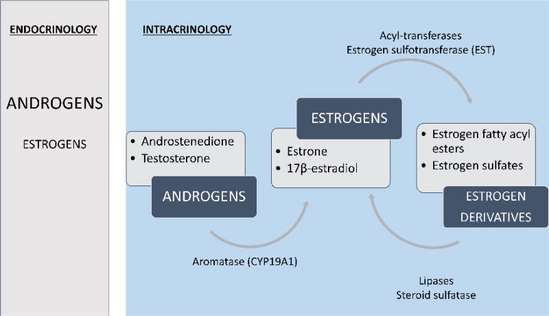 Figure 24.1