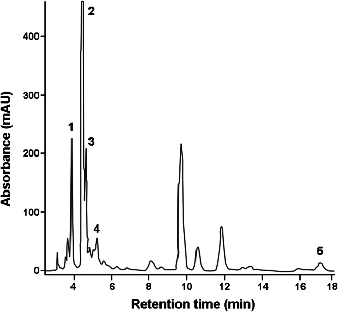 Fig. 1