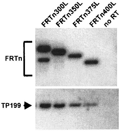 FIG. 12