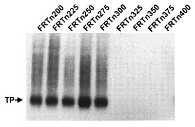 FIG. 6