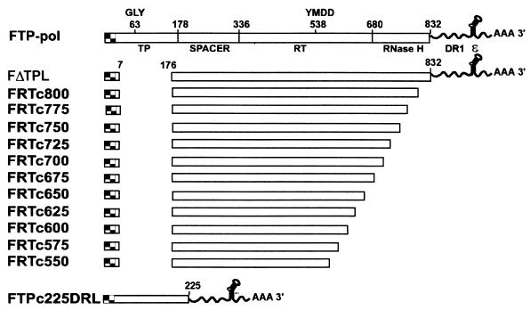 FIG. 7