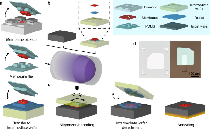 Direct-bonded Diamond Membranes For Heterogeneous Quantum And 