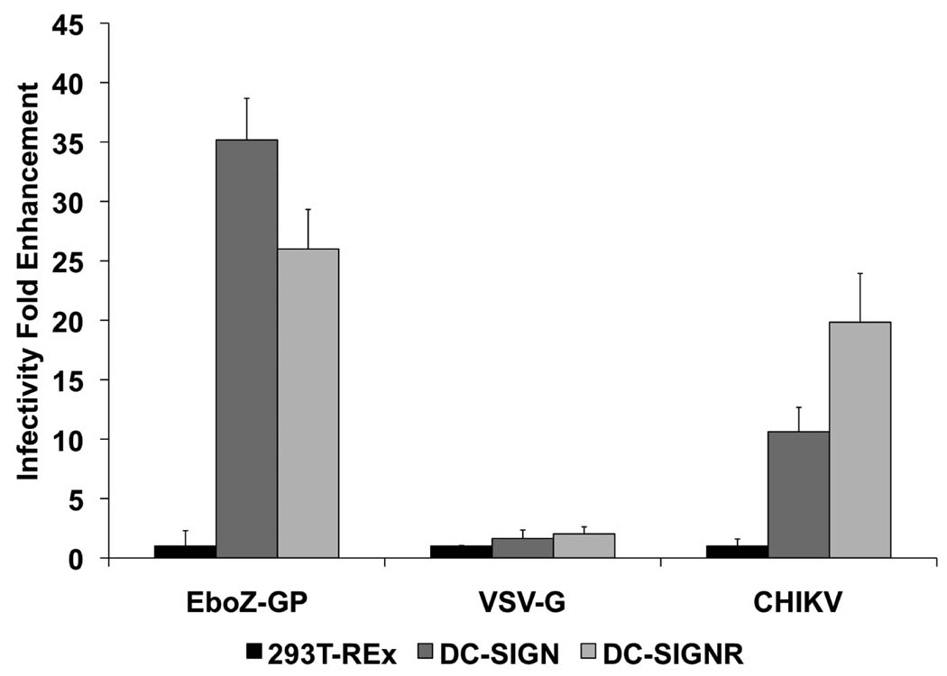 FIG. 6