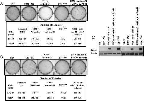 Fig. 4.