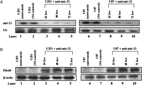 Fig. 2.