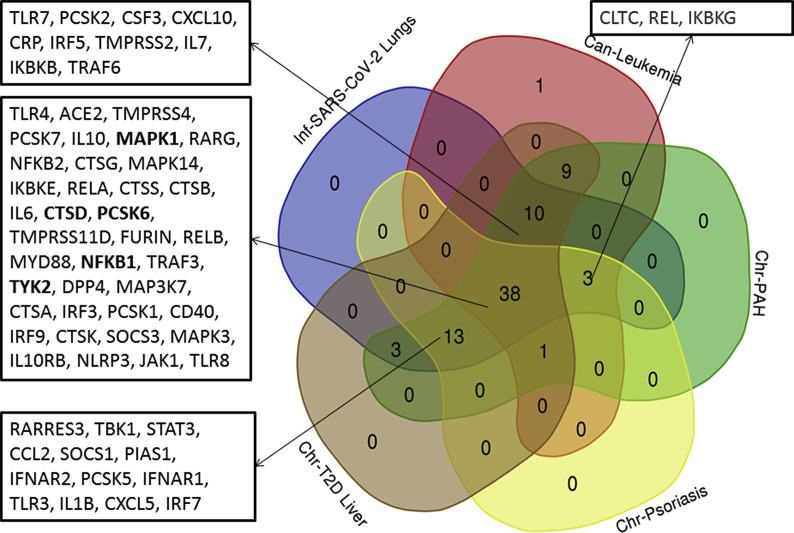 Supplementary Fig. 6