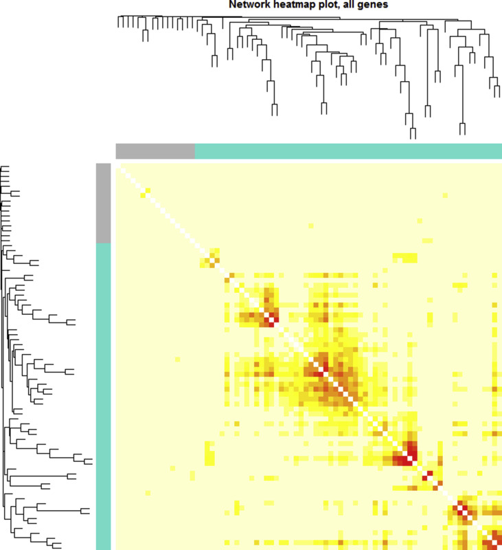 Supplementary Fig. 2