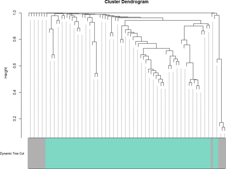 Supplementary Fig. 1