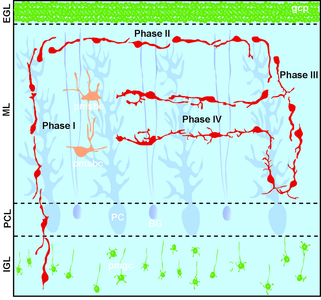 Fig. 11