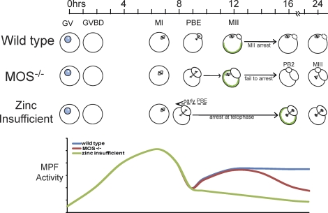 FIG. 8.