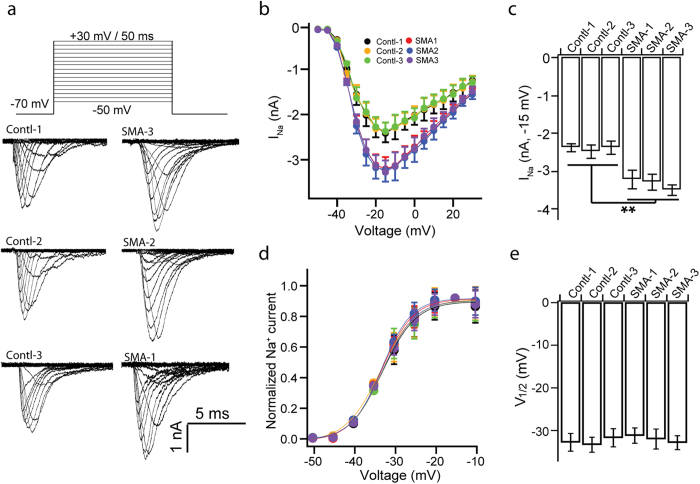 Figure 5