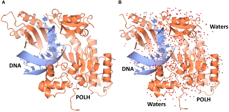 Figure 1