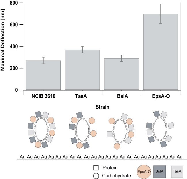 FIG 2