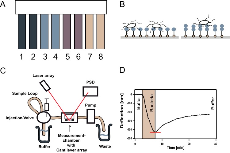 FIG 1