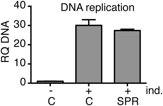 Fig. S5.