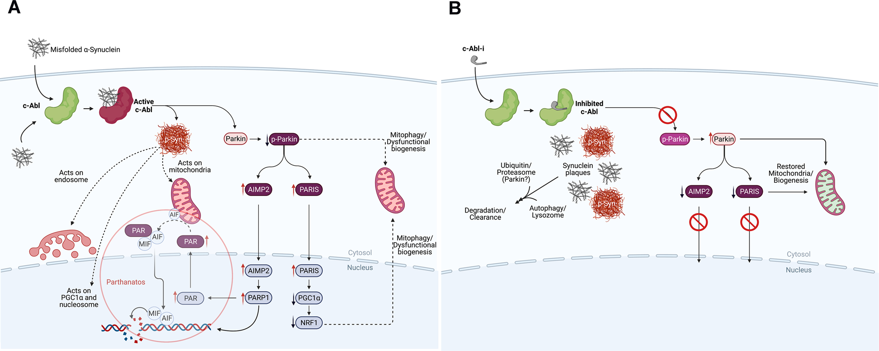 Figure 3: