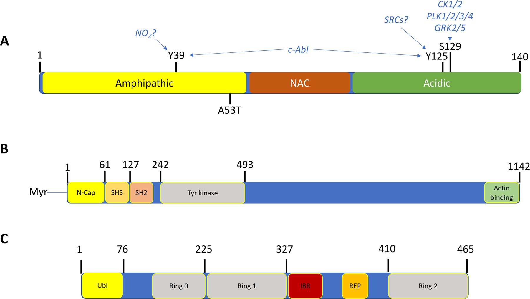 Figure 1: