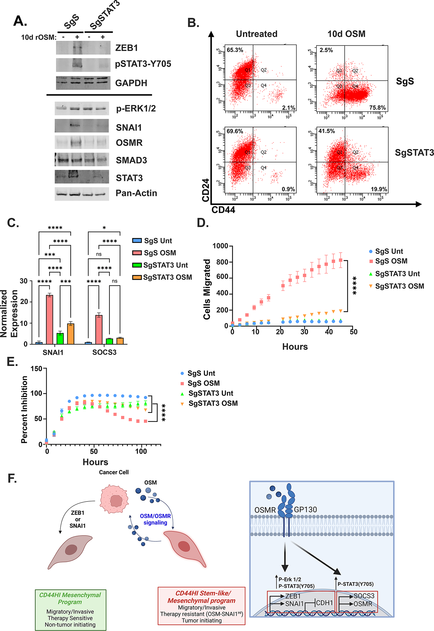 Figure 6: