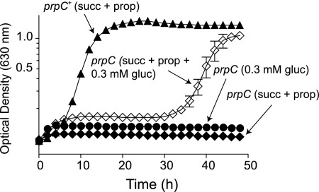 FIG. 2.