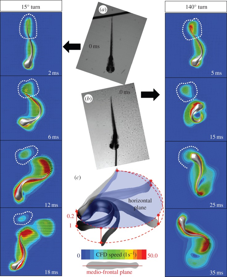 Figure 9.