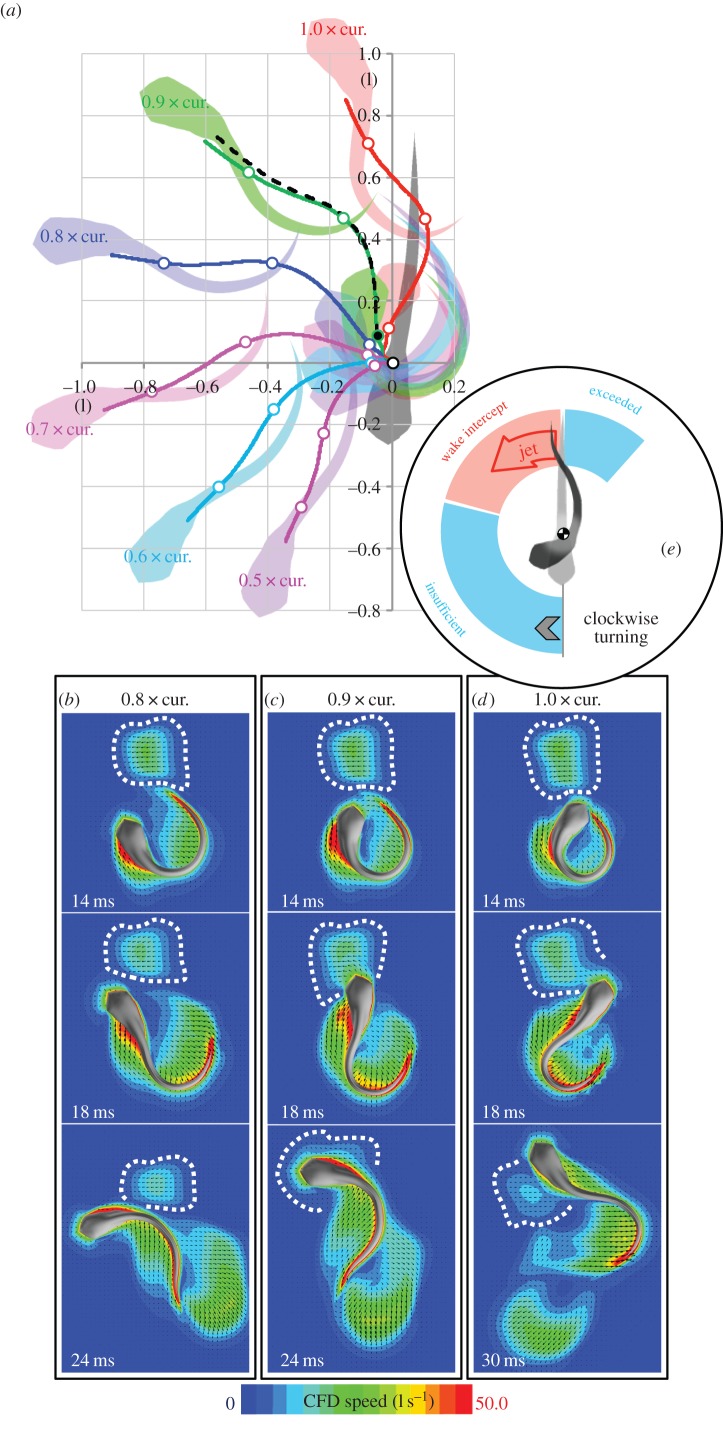 Figure 10.