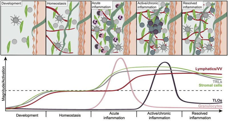 Key Figure, Figure 3.