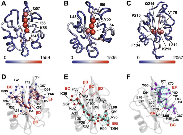 Fig. 8