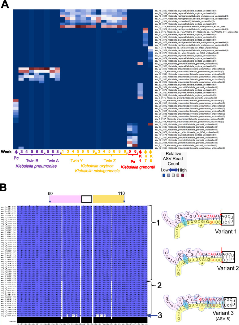 FIG 3