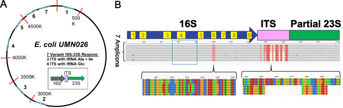 FIG 1