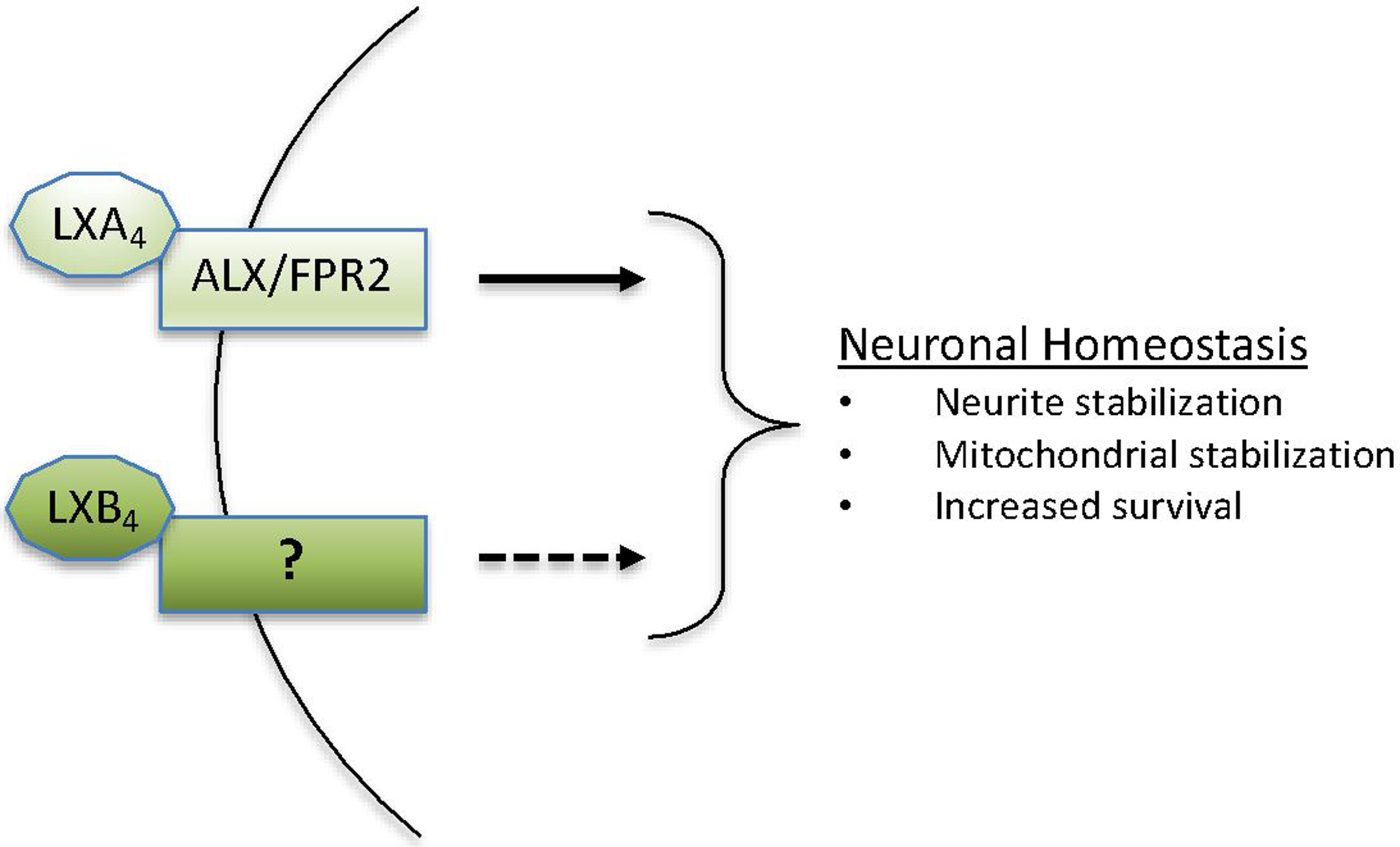 Fig 2.