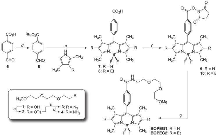 Scheme 2