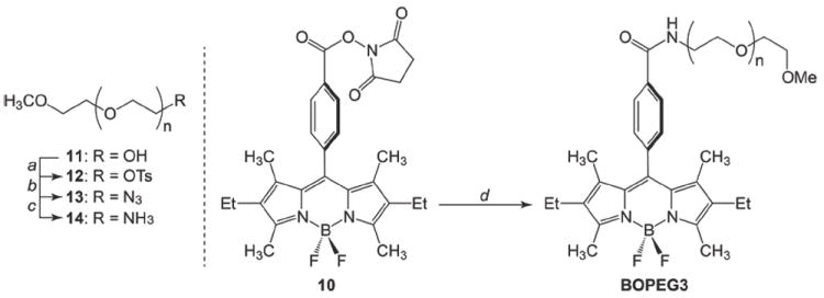 Scheme 3