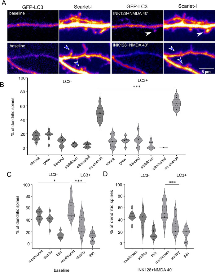 FIGURE 6: