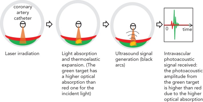 Figure 1: