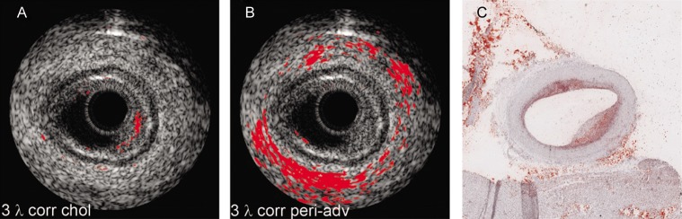 Figure 3: