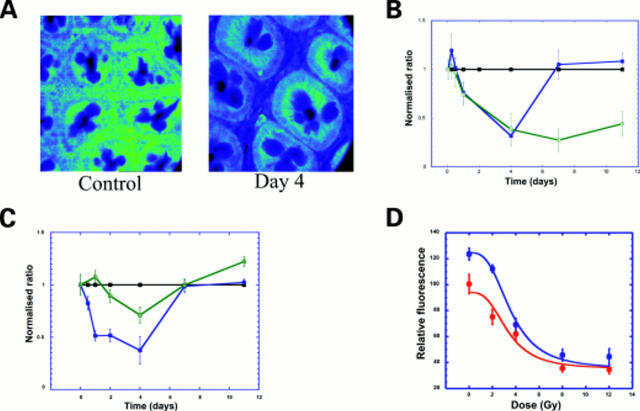 Figure 3  